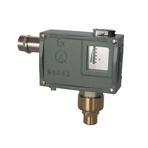  TLD-02壓力開(kāi)關(guān) 